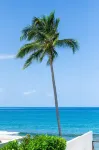 Roadside Apartment of Beachfront Property! AC & WiFi