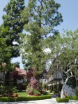 Laguna Hills Lodge-Irvine Spectrum