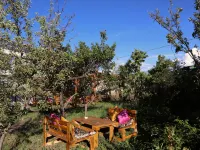 Esenin 1 Hostel & Bar Hotels in 