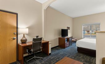 Comfort Suites Kansas City - Liberty