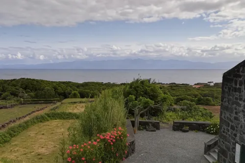 Adegas do Pico