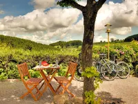 H+ Hotel Willingen by Sunday Hotels