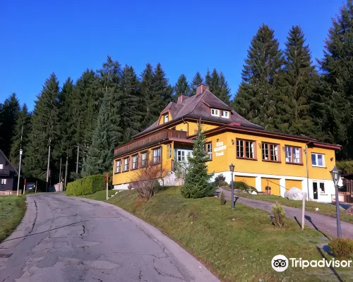 Hotel Restaurant Peterle Ξενοδοχεία στην πόλη Feldberg