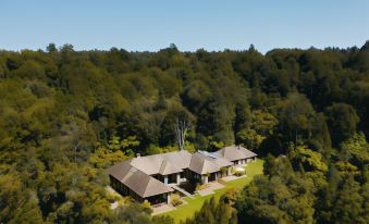 Treetops Lodge & Estate