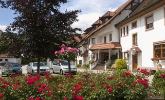 Hotel-Restaurant Hirsch - Housity