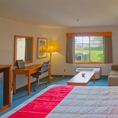 Premium Room, Multiple Beds
