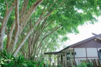 Pou Villa Hotels in 