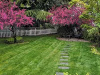 Quiet  Mid- Century Charmer Near Seattle Airport ベリアンのホテル