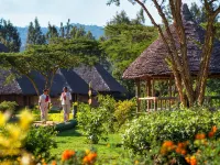 Neptune Ngorongoro Luxury Lodge Hotels in 