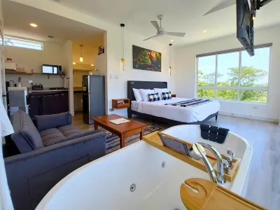 Javiellie Luxury Villa Hotels in 