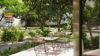 Urban Oasis Hostel Hotels in 
