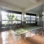 Hijiori Onsen Otomoya Ryokan