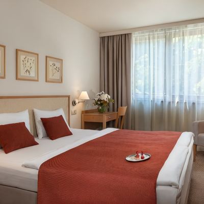 Standard Twin/Double Room Hotel Castle Garden Promo Code