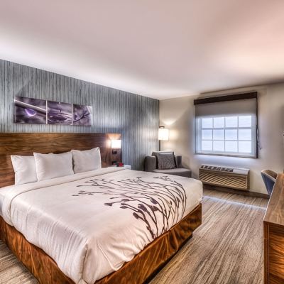 2 King Beds Efficiency Suite Nonsmoking Sleep Inn Oakbrook Terrace - Chicago Promo Code