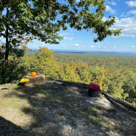 Big  Medicine  Ranch - Rustic Sunrise Cabin - Catskills Отели в г. Катскилл
