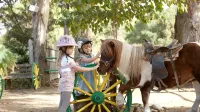 Grecotel LUXME Oasis at Riviera Olympia & Aqua Park Các khách sạn ở 