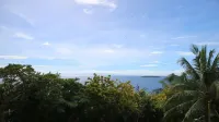 D'다운힐