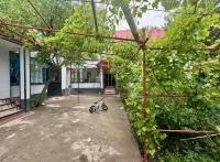Qiyunguan B&B