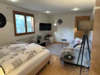Central but quietly located, lovely and well furnished flat in Balzers. Hotels in 