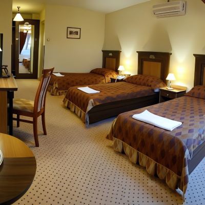 Basic Double Room with Double Bed Öreg Miskolcz Hotel Promo Code