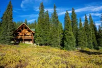 Gemini cabin, deck views of 14kft mtn, 40 min to Breck. Surrounded by wildlife
