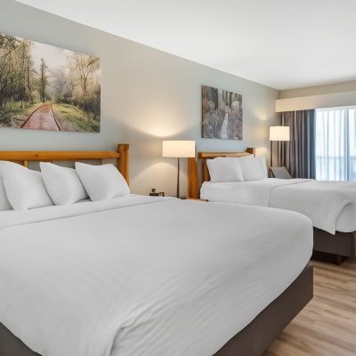 2 Queen Beds, Accessible Room, Non-Smoking Three Bears Resort Promo Code