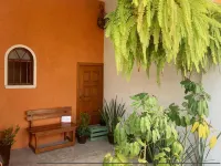 Aruma Cuernavaca Các khách sạn ở Cuernavaca