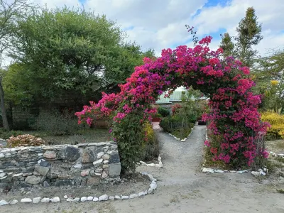 Masai Eco Lodge Hotels in 