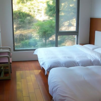 豪华4人房 雲林古坑草嶺SPA渡假山莊優惠