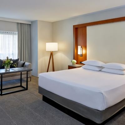 Accessible King Room With Bathtub Hyatt Regency Atlanta Promo Code