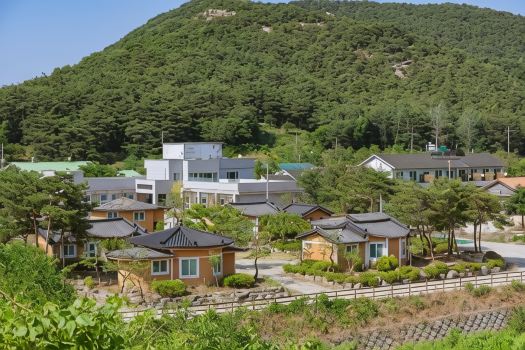 고창 황토복분자펜션