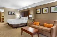 Comfort Inn & Suites Near Danville Mall