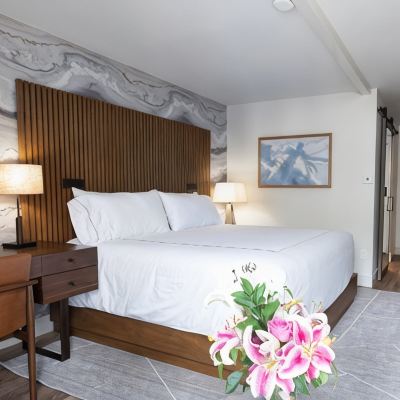 Standard Room, 1 King Bed, Mountain View ADA Sitzmark Lodge Promo Code
