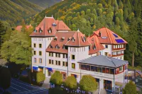Hotel Rina Cerbul Hotels in 