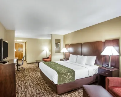 Comfort Suites  호텔