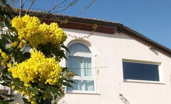 Cascina Marcantonio - Housity