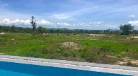 I love phants Lodge