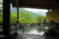 SHINIYAONSEN HOTEL KAZURABASHI