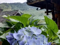 梯田觀景360°·山居日記·Villa度假美宿（龍脊梯田風景區店）