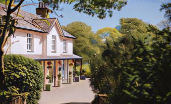 Plas Dinas Country House - Housity