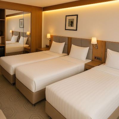 Standard Triple Room Yuksel Istanbul Yenikapi Promo Code