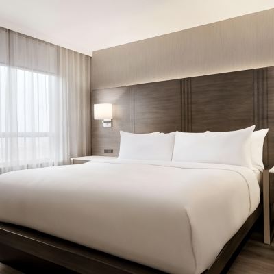 特大床一室套房 多倫多機場希爾頓大使館套房酒店優惠