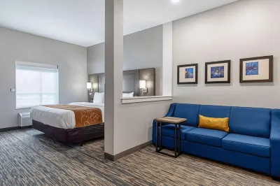 Comfort Suites Grove City - Columbus South Отели в г. 