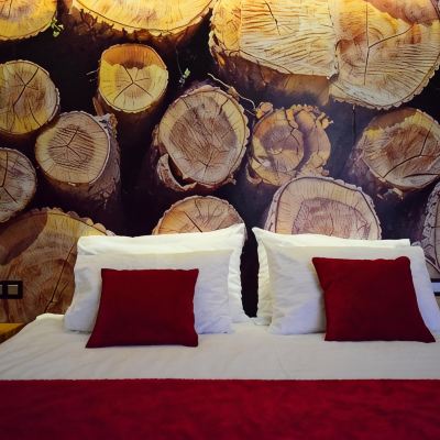 Superior Suite Hotel Lavina Promo Code
