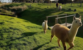 Clonmara Country House and Cottages