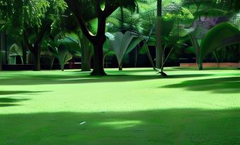 a lush green lawn surrounded by trees , with several trees and bushes in the background at Country Inn Masindi