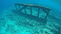 Pavona Maldives Hotéis em 