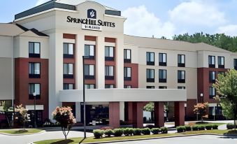 SpringHill Suites Charlotte University Research Park