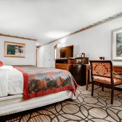 King Room-Non-Smoking Ramada Plaza by Wyndham Atlanta Airport Promo Code