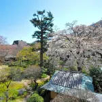 Yoshiike Ryokan Отели в г. 